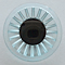 36. pale blue