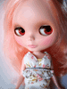 �J�X�^���^�u���C�X�@�m���D�P