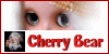 Cherry Bear