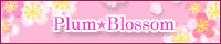 Plum Blossom