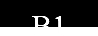 B1