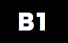 B1